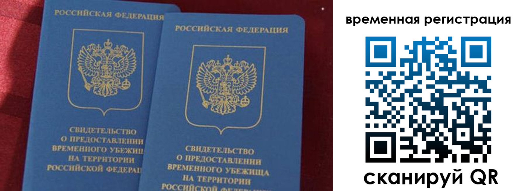 временная регистрация гарантия в Камбарке